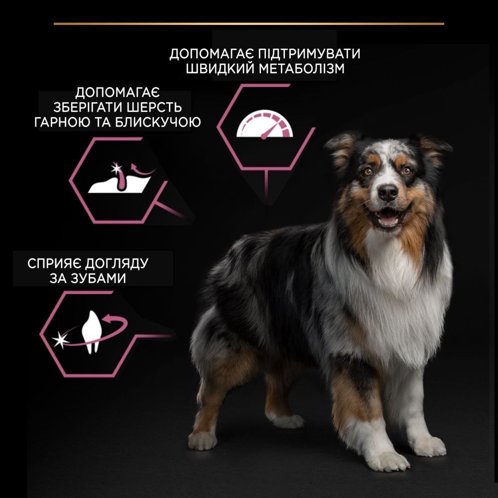 Cухий корм для цуценят Pro Plan Medium Puppy Sensitive Skin 12 кг - лосось