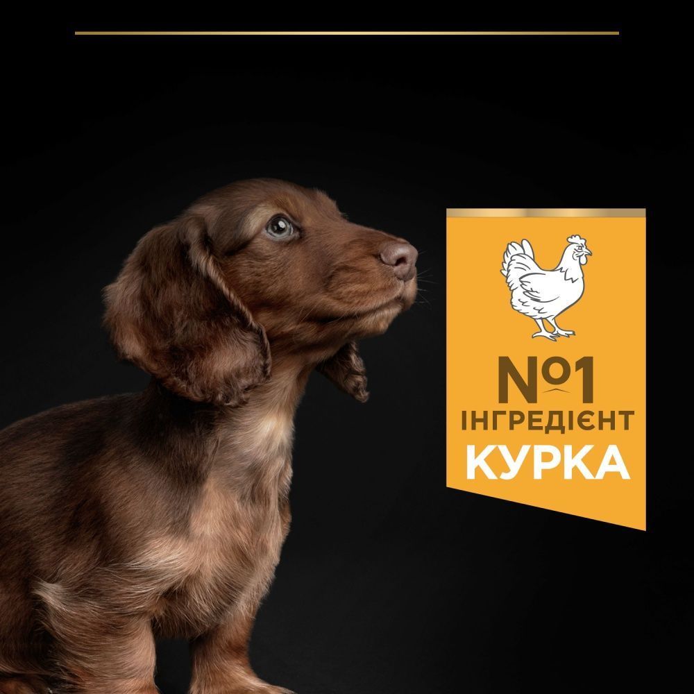 Сухий корм для цуценят Pro Plan Small & Mini Puppy Healthy Start 700 г - курка