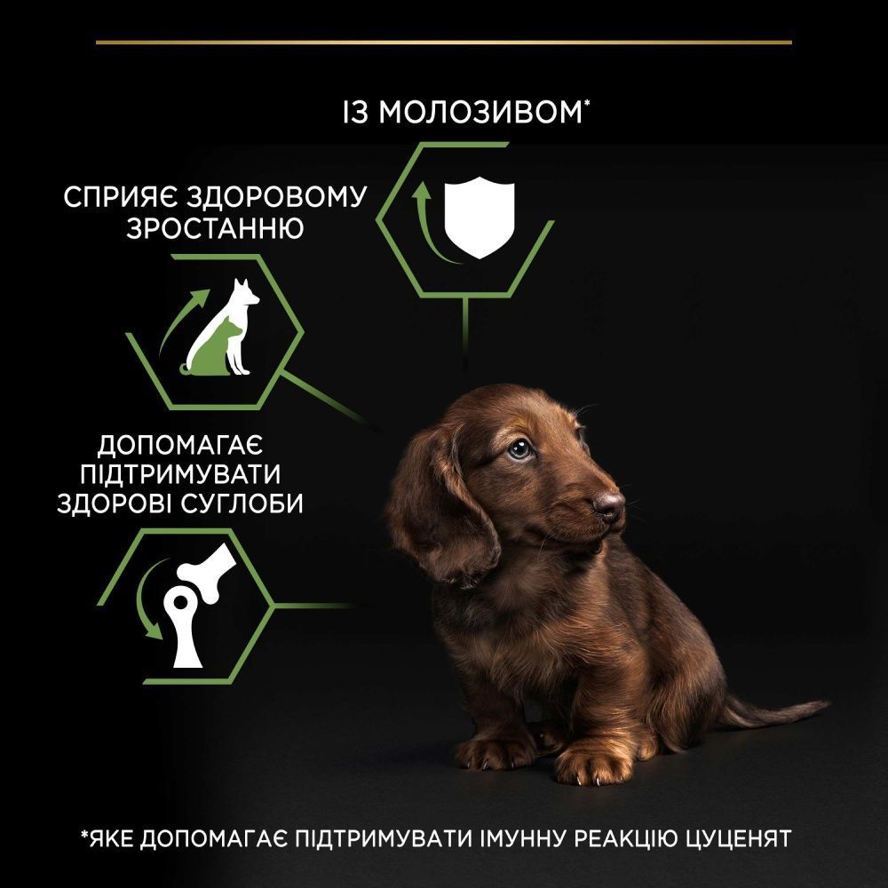 Сухий корм для цуценят Pro Plan Small & Mini Puppy Healthy Start 700 г - курка