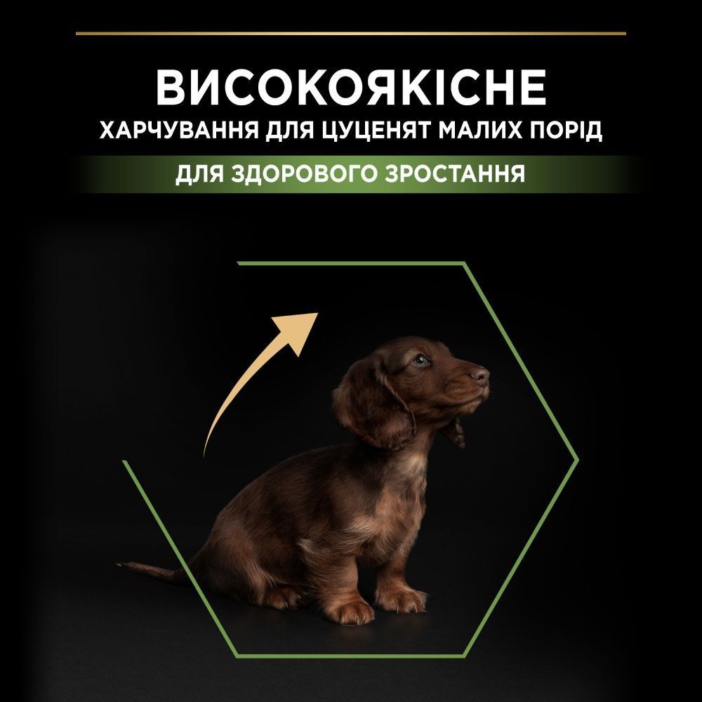 Сухий корм для цуценят Pro Plan Small & Mini Puppy Healthy Start 700 г - курка