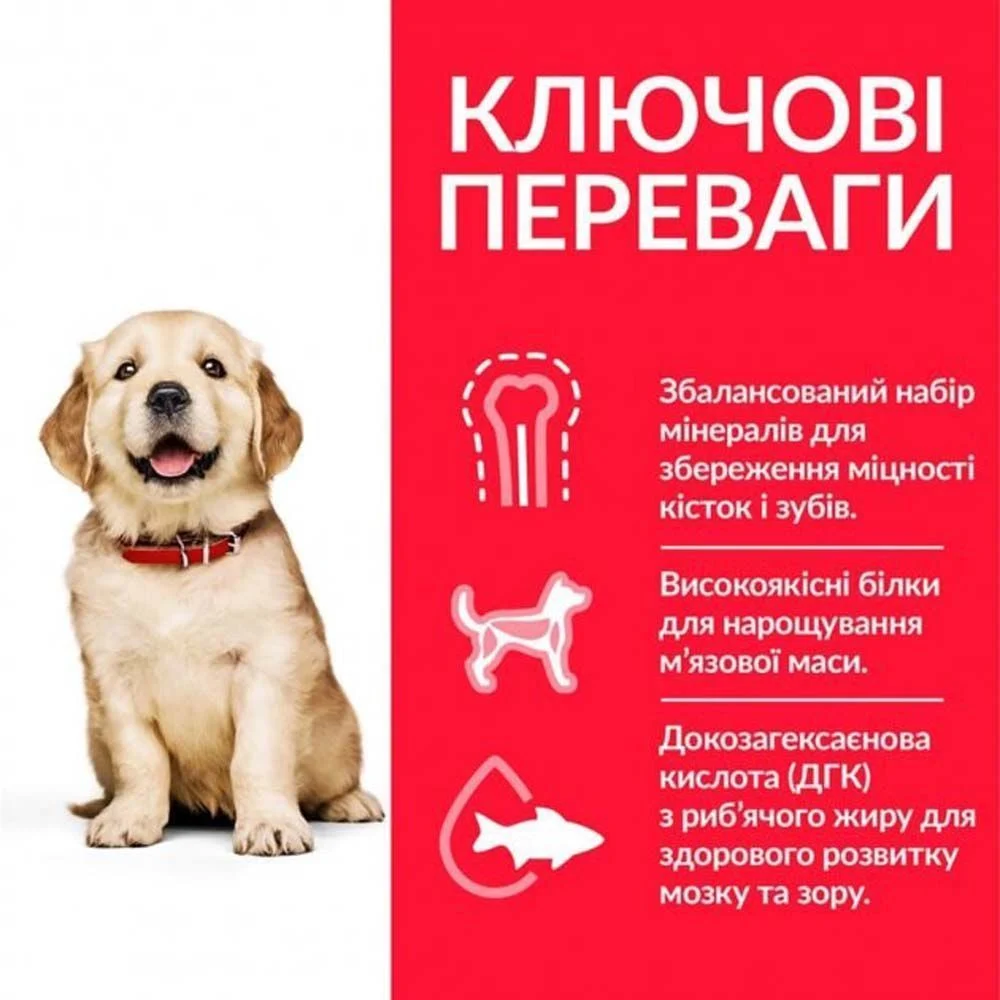 Сухой корм для щенков Hill’s Science Plan Puppy Large Breed с курицей