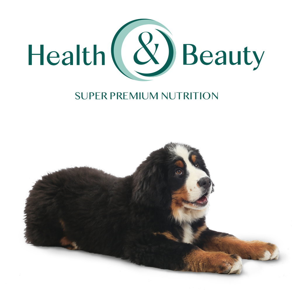 Сухой корм для щенков Optimeal Puppy Large Breed 12 кг - индейка Сухой корм для щенков Optimeal Puppy Large Breed 12 кг - индейка