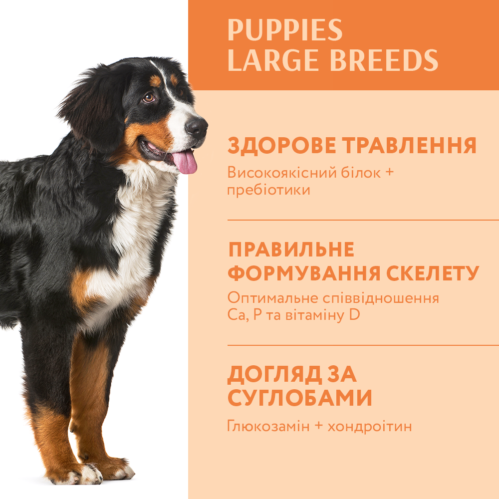 Сухой корм для щенков Optimeal Puppy Large Breed 12 кг - индейка Сухой корм для щенков Optimeal Puppy Large Breed 12 кг - индейка