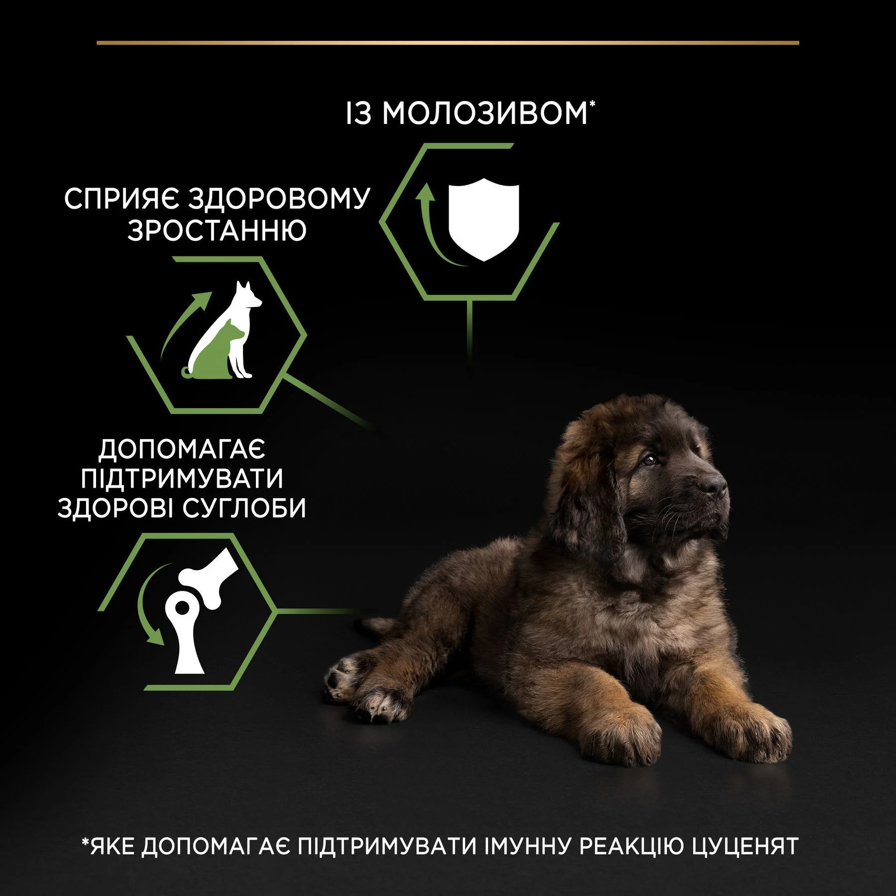 Cухий корм для цуценят Pro Plan Large Robust Puppy Healthy Start 12 кг - курка