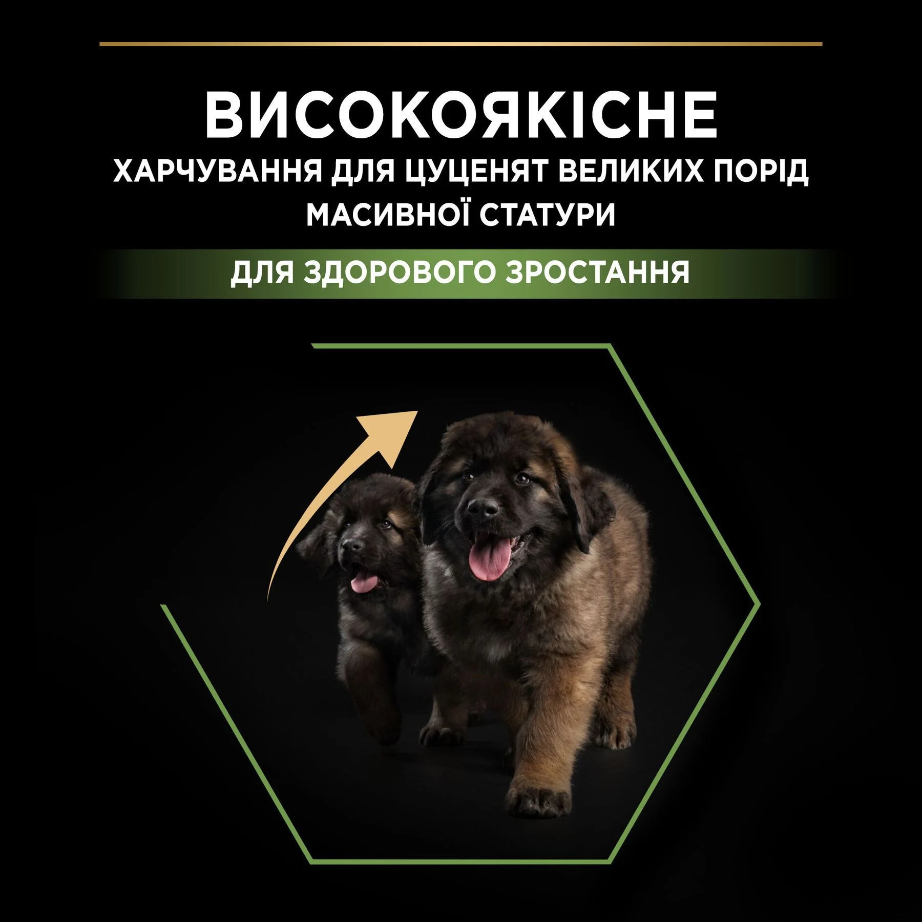 Cухий корм для цуценят Pro Plan Large Robust Puppy Healthy Start 12 кг - курка