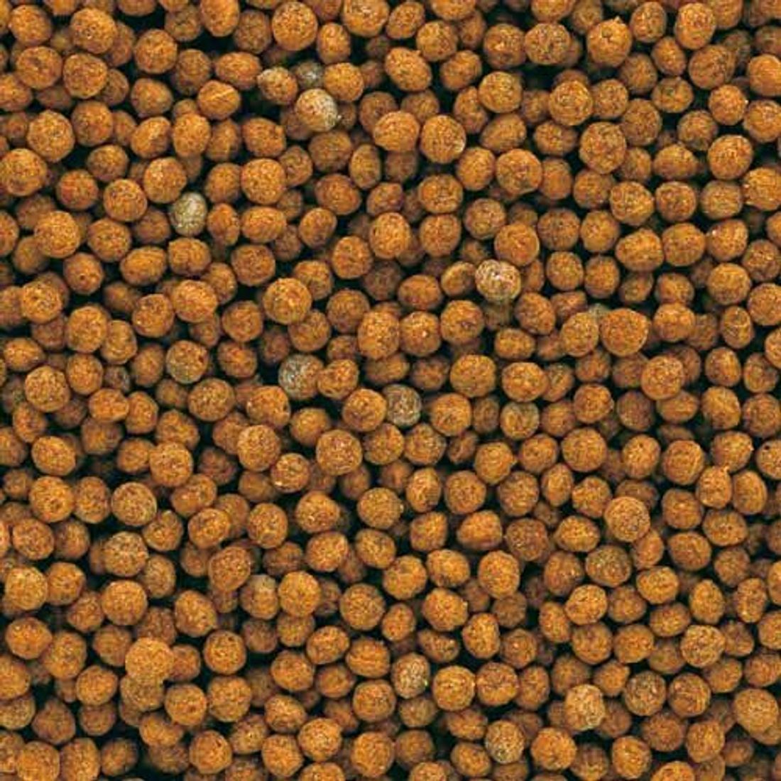 Сухий корм для холодноводних та золотих риб Tetra Goldfish Granules 100 мл - гранули Сухий корм для холодноводних та золотих риб Tetra Goldfish Granules 100 мл - гранули