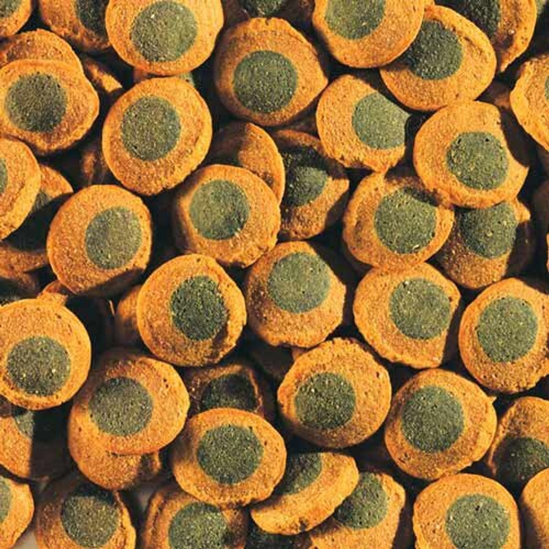 Сухий корм для рослиноїдних донних акваріумних риб Tetra Pleco Veggie Wafers 250 мл - чипси