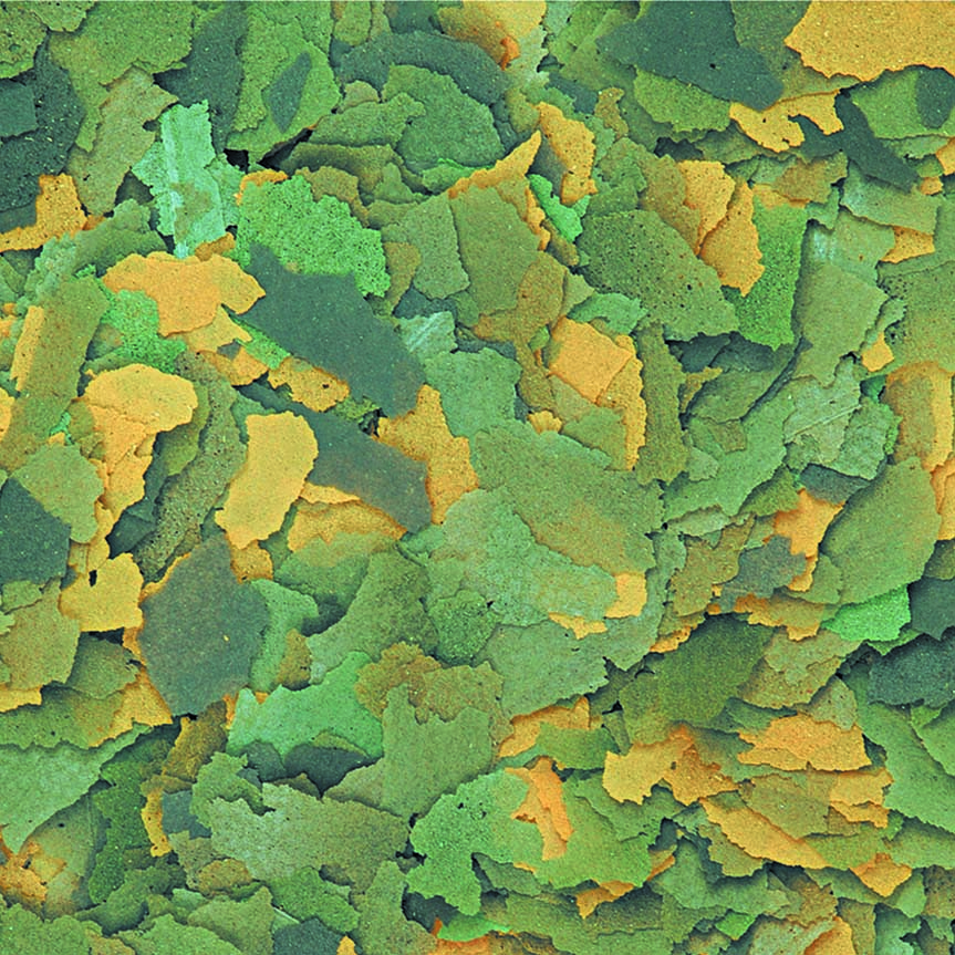Сухий корм для рослиноїдних акваріумних риб Tropical Bio-Vit 21 л - пластівці Сухий корм для рослиноїдних акваріумних риб Tropical Bio-Vit 21 л - пластівці