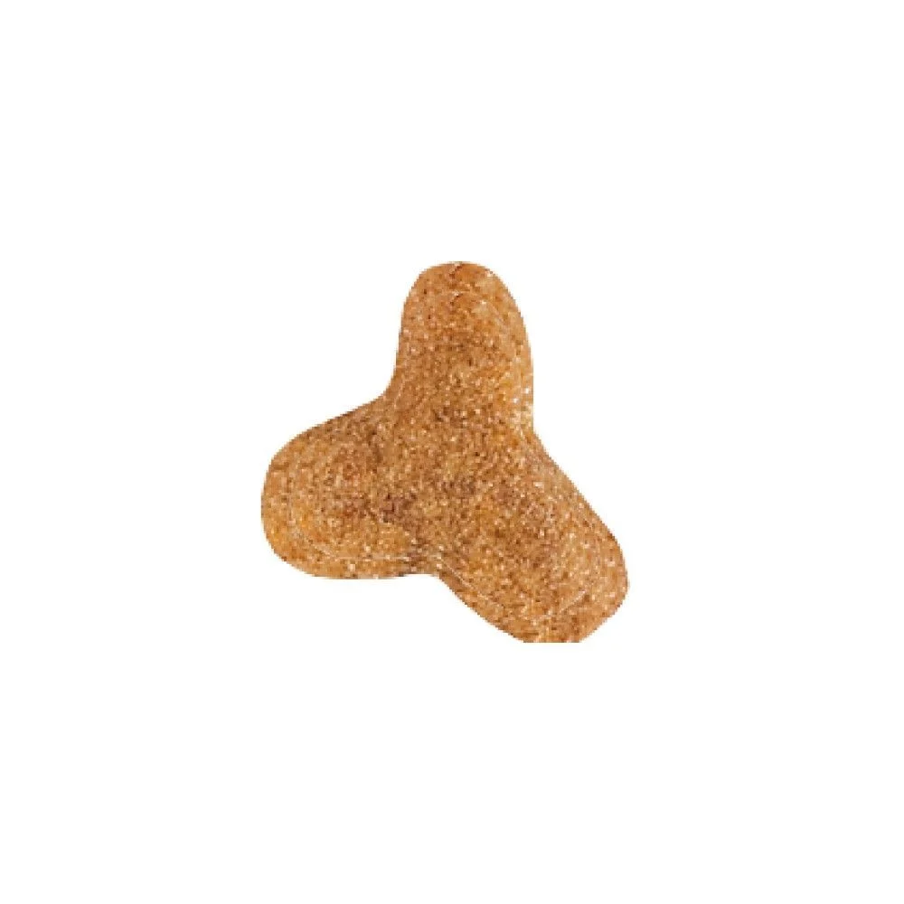 Сухий корм для котів Royal Canin Gastrointestinal Fibre Response 2 кг