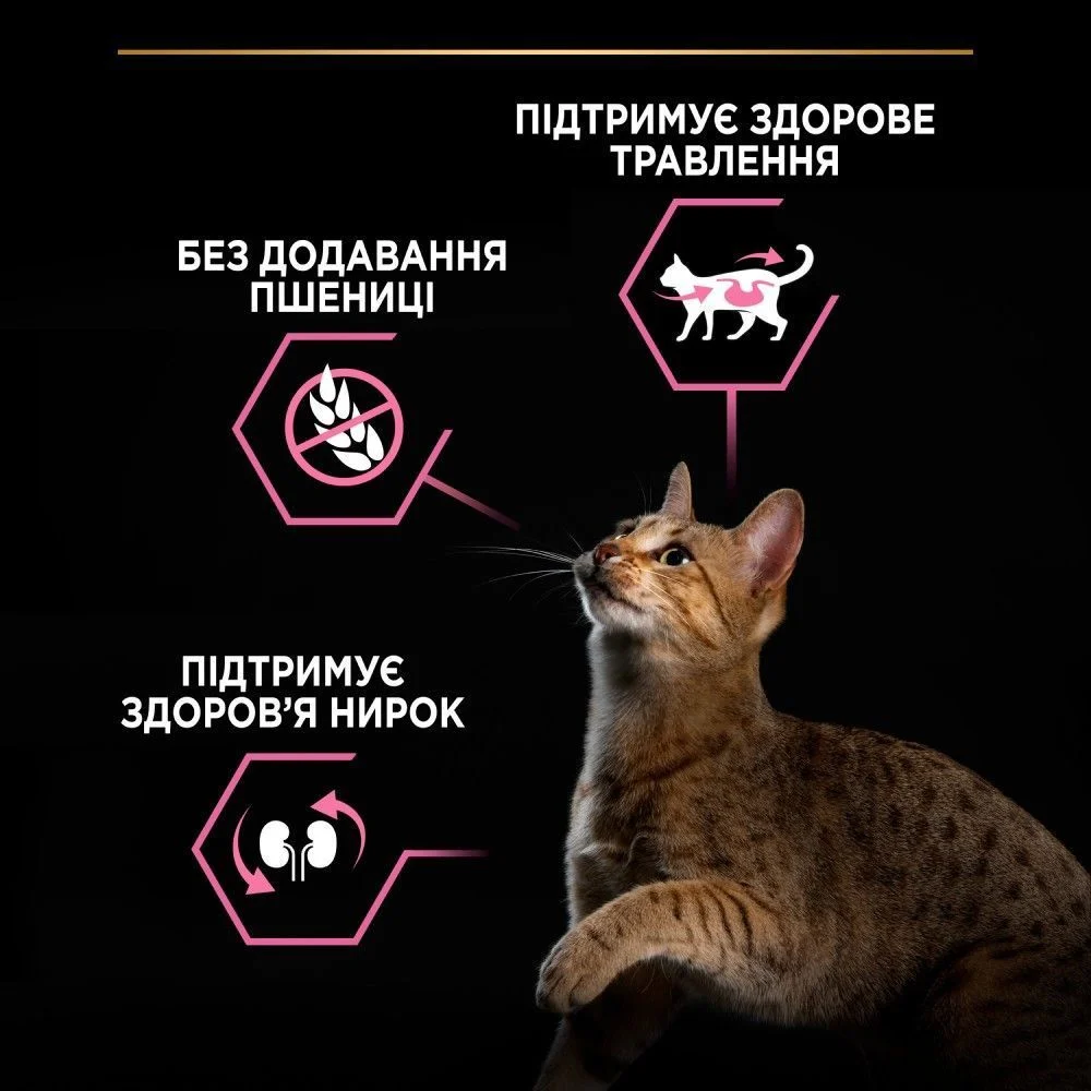 Сухой корм для кошек Pro Plan Adult Delicate Digestion 1,5 кг - ягненок Сухой корм для кошек Pro Plan Adult Delicate Digestion 1,5 кг - ягненок