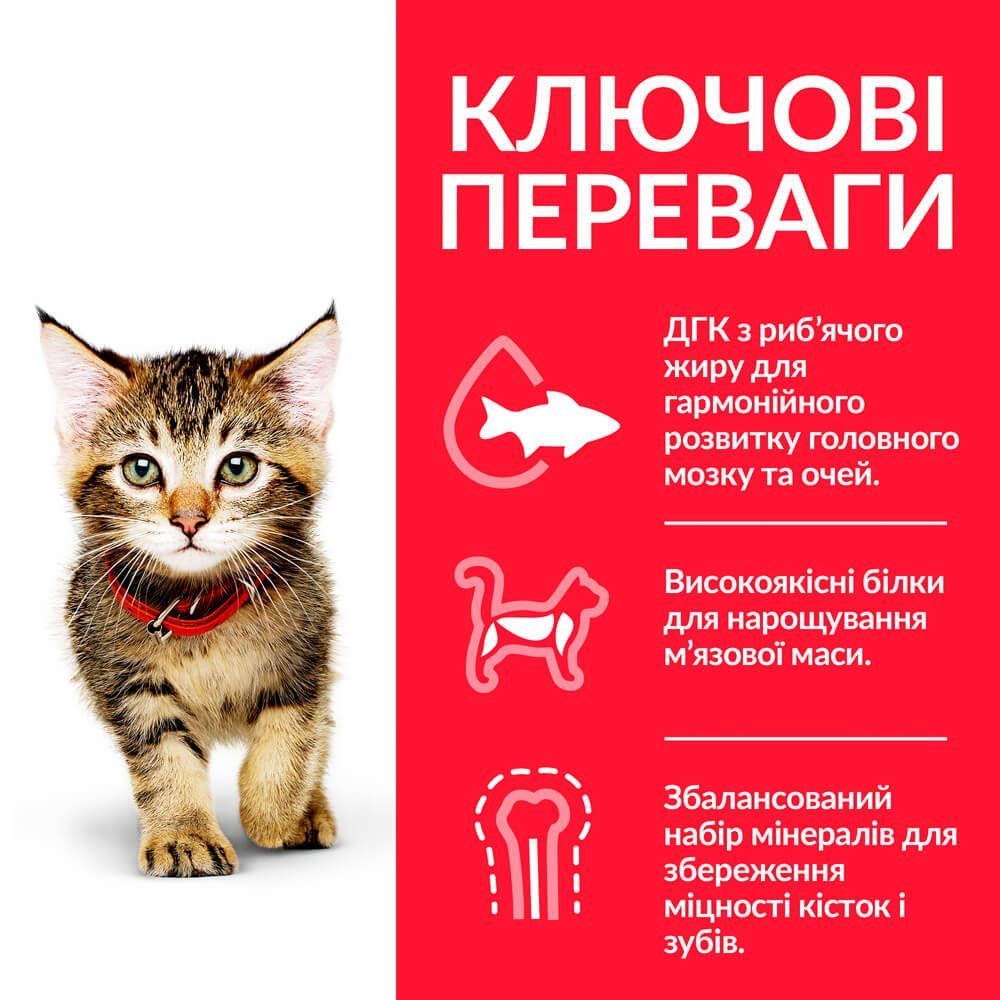 Сухий корм для кошенят Hill's Science Plan Kitten 300 г - курка Сухий корм для кошенят Hill's Science Plan Kitten 300 г - курка