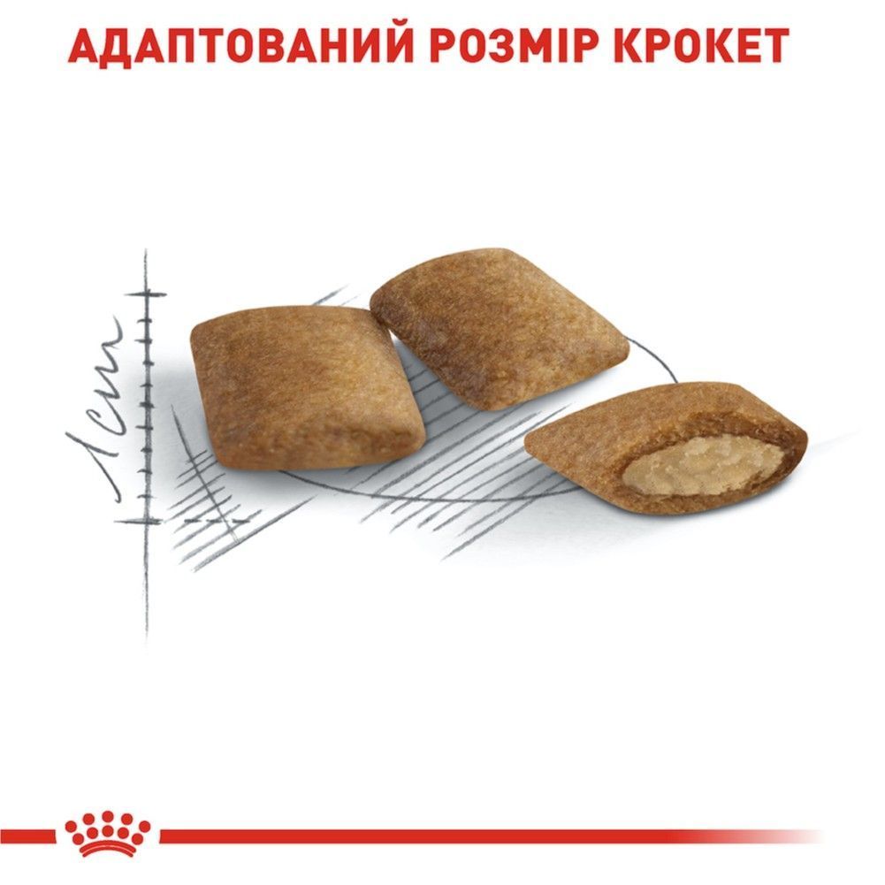Сухий корм для котів Royal Canin Senior Ageing 12+ 2 кг Сухий корм для котів Royal Canin Senior Ageing 12+ 2 кг