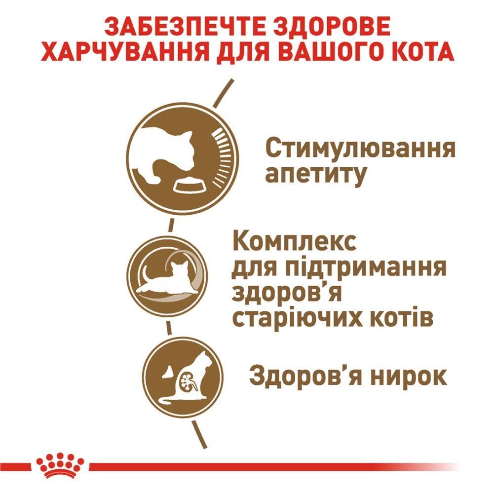 Сухий корм для котів Royal Canin Senior Ageing 12+ 2 кг Сухий корм для котів Royal Canin Senior Ageing 12+ 2 кг