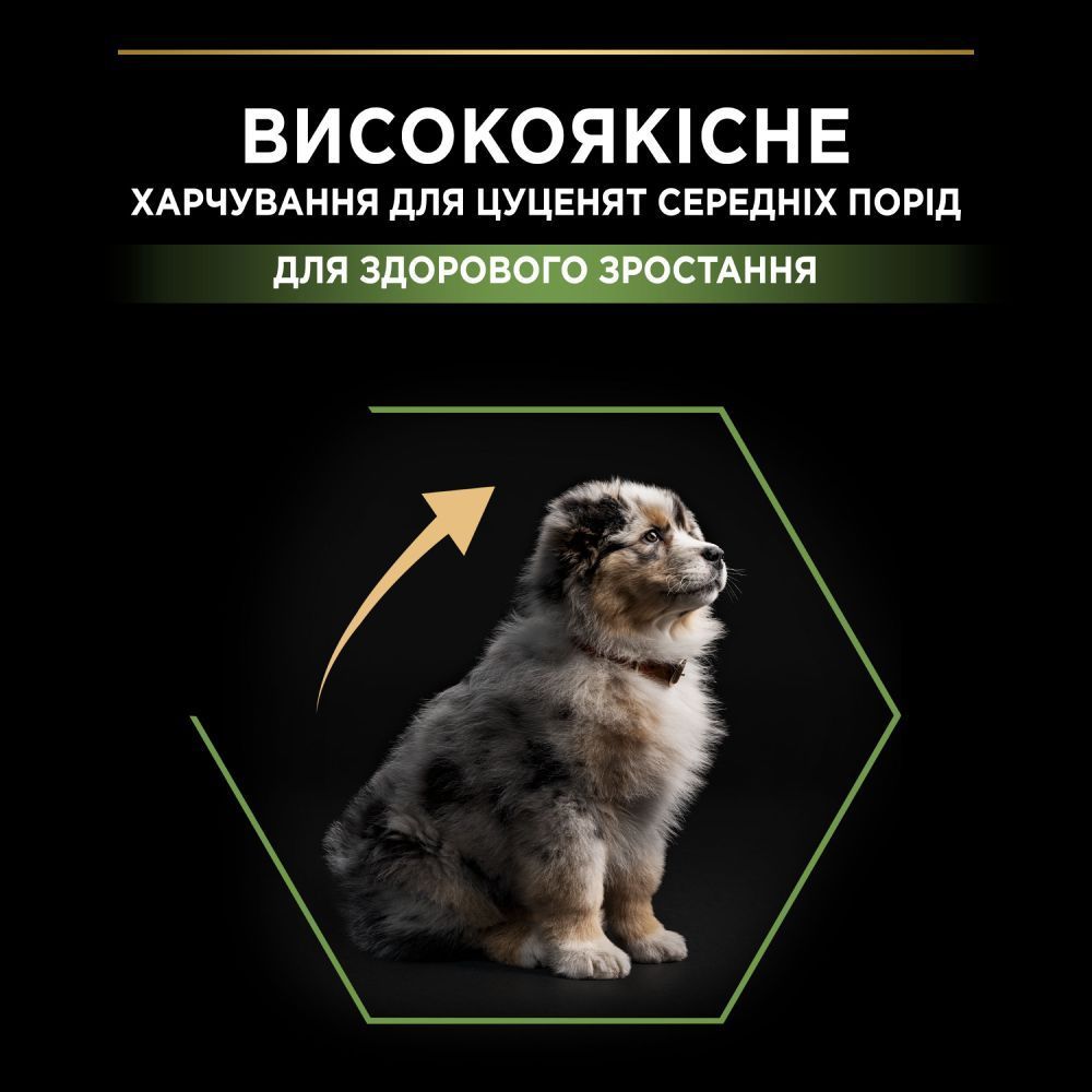 Сухой корм для щенков Pro Plan Medium Puppy Healthy Start 3 кг - курица Сухой корм для щенков Pro Plan Medium Puppy Healthy Start 3 кг - курица