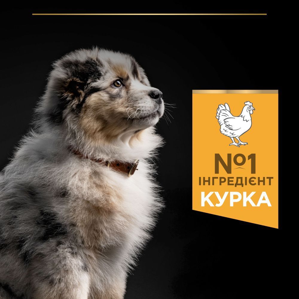 Сухой корм для щенков Pro Plan Medium Puppy Healthy Start 3 кг - курица Сухой корм для щенков Pro Plan Medium Puppy Healthy Start 3 кг - курица