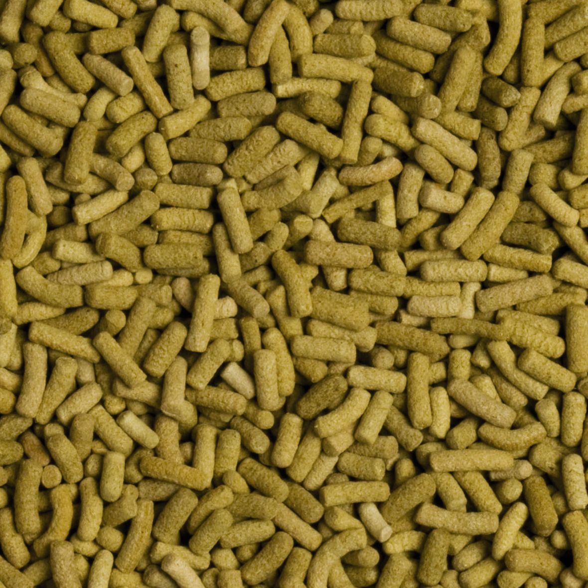 Сухий корм для сухопутних черепах Tropical Biorept L 100 мл - палички