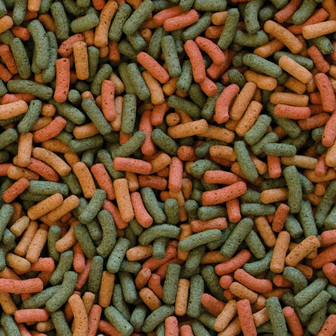 Сухий корм для всіх видів черепах Tropical Biorept W 20 г - палички