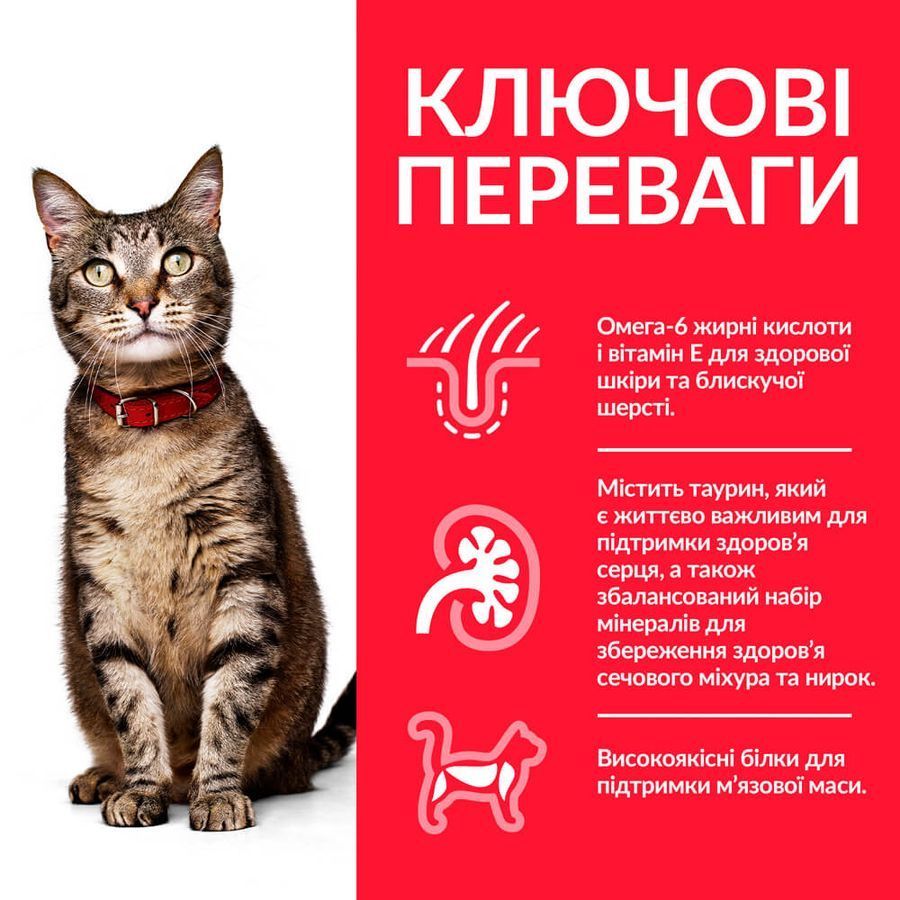 Сухий корм для котів Hill's Science Plan Adult 1-6 1,5 кг - ягня Сухий корм для котів Hill's Science Plan Adult 1-6 1,5 кг - ягня