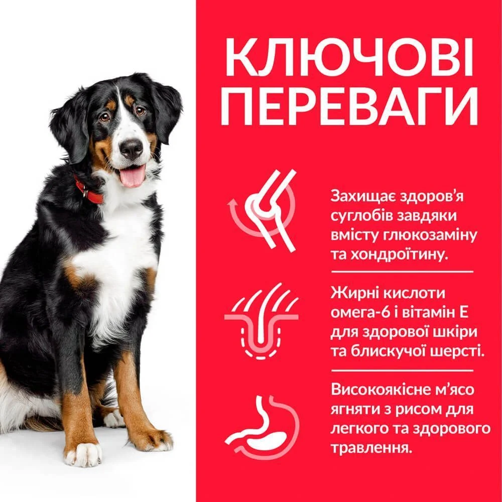 Сухий корм для собак Hill’s Science Plan Adult Large Breed 14 кг - ягня та рис Сухий корм для собак Hill’s Science Plan Adult Large Breed 14 кг - ягня та рис