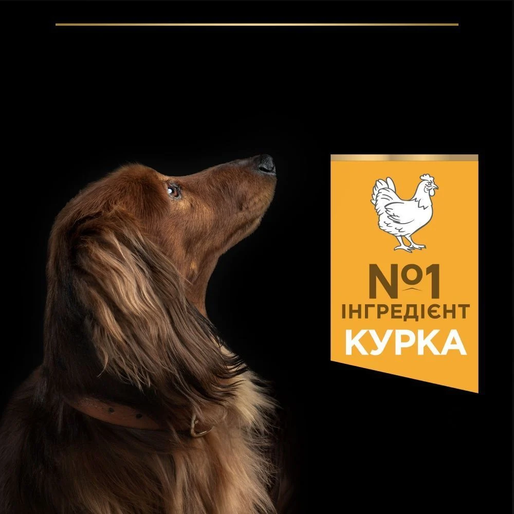 Сухой корм собак Pro Plan Small & Mini Adult Everyday Nutrition 700 г - курица Сухой корм собак Pro Plan Small & Mini Adult Everyday Nutrition 700 г - курица
