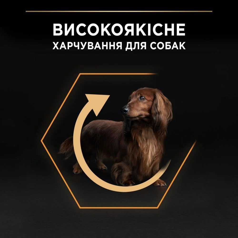 Сухой корм собак Pro Plan Small & Mini Adult Everyday Nutrition 700 г - курица Сухой корм собак Pro Plan Small & Mini Adult Everyday Nutrition 700 г - курица