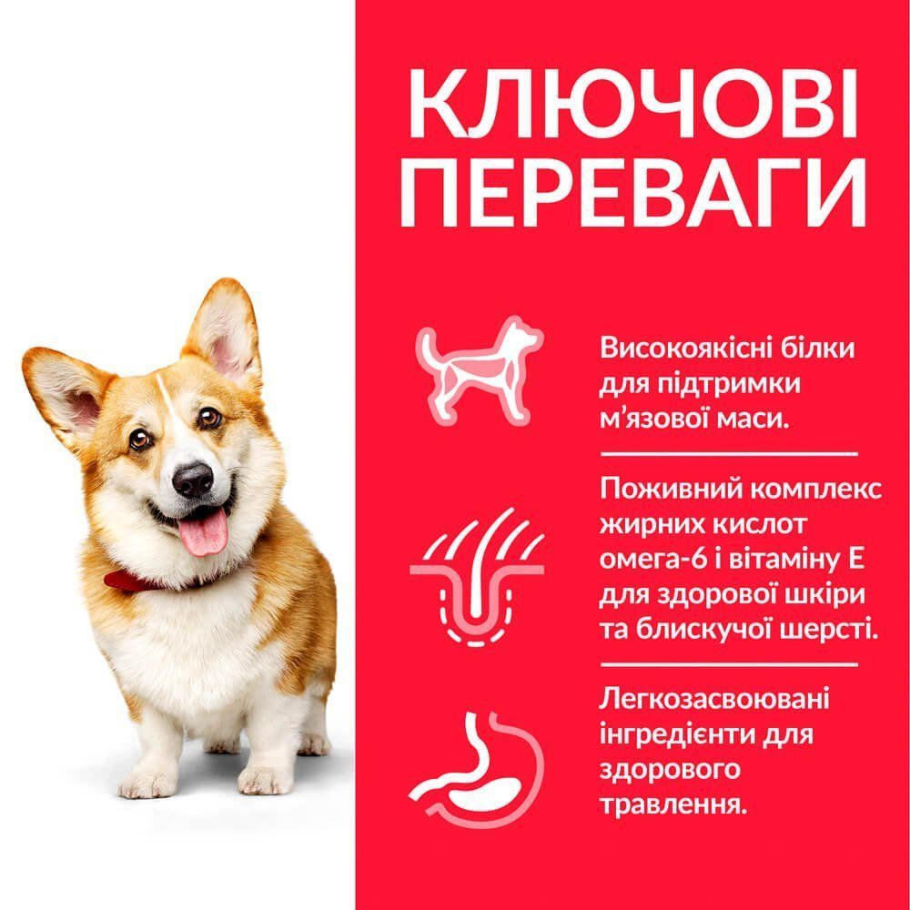 Сухий корм для собак Hill’s Science Plan Small&Mini Adult 1,5 кг - ягня та рис