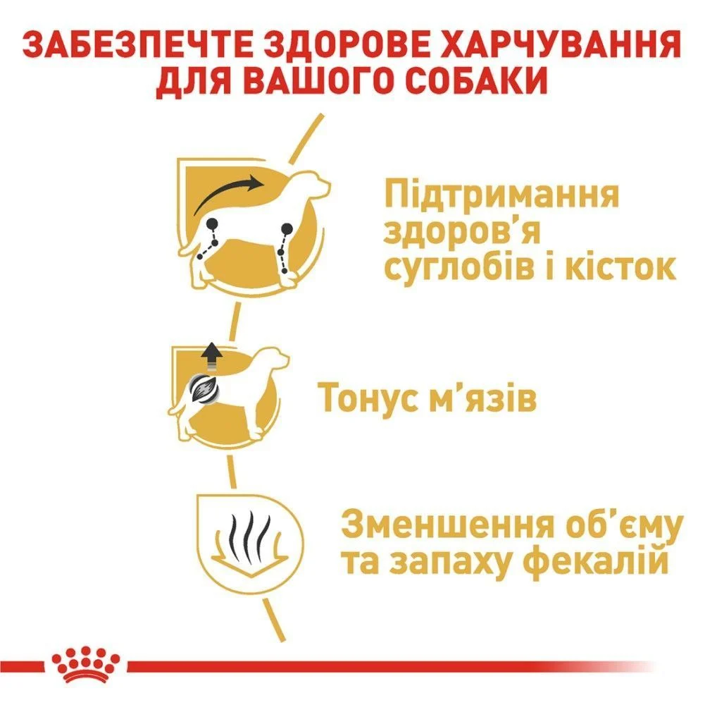Сухий корм для собак Royal Canin Dachshund Adult 1,5 кг