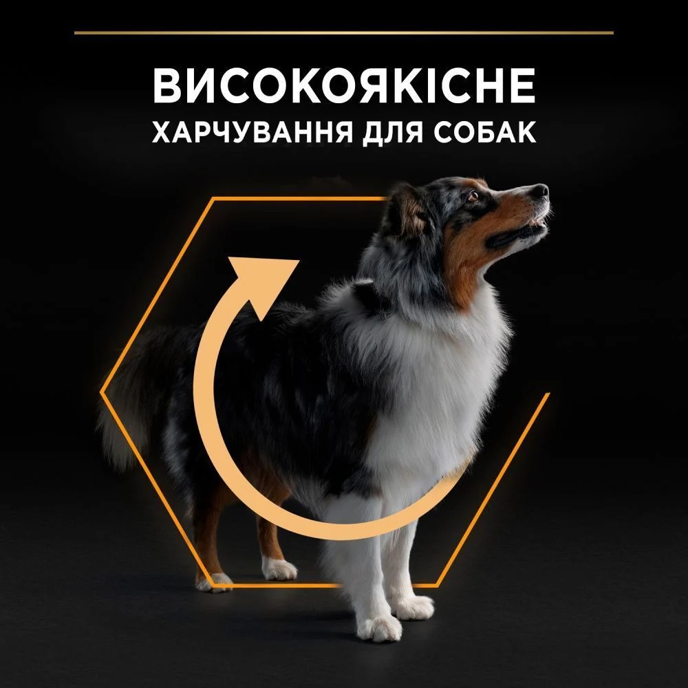 Сухой корм для собак Pro Plan Medium Adult Everyday Nutrition 3 кг - курица Сухой корм для собак Pro Plan Medium Adult Everyday Nutrition 3 кг - курица