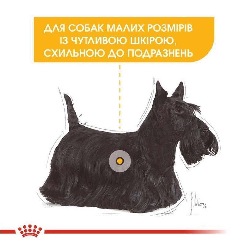 Сухой корм для собак Royal Canin Mini Dermacomfort 3 кг