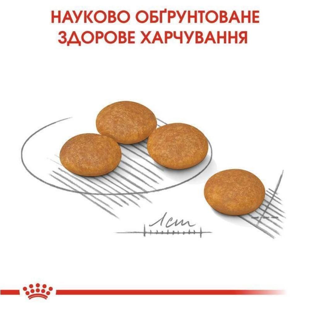 Сухой корм для собак Royal Canin Mini Dermacomfort 3 кг