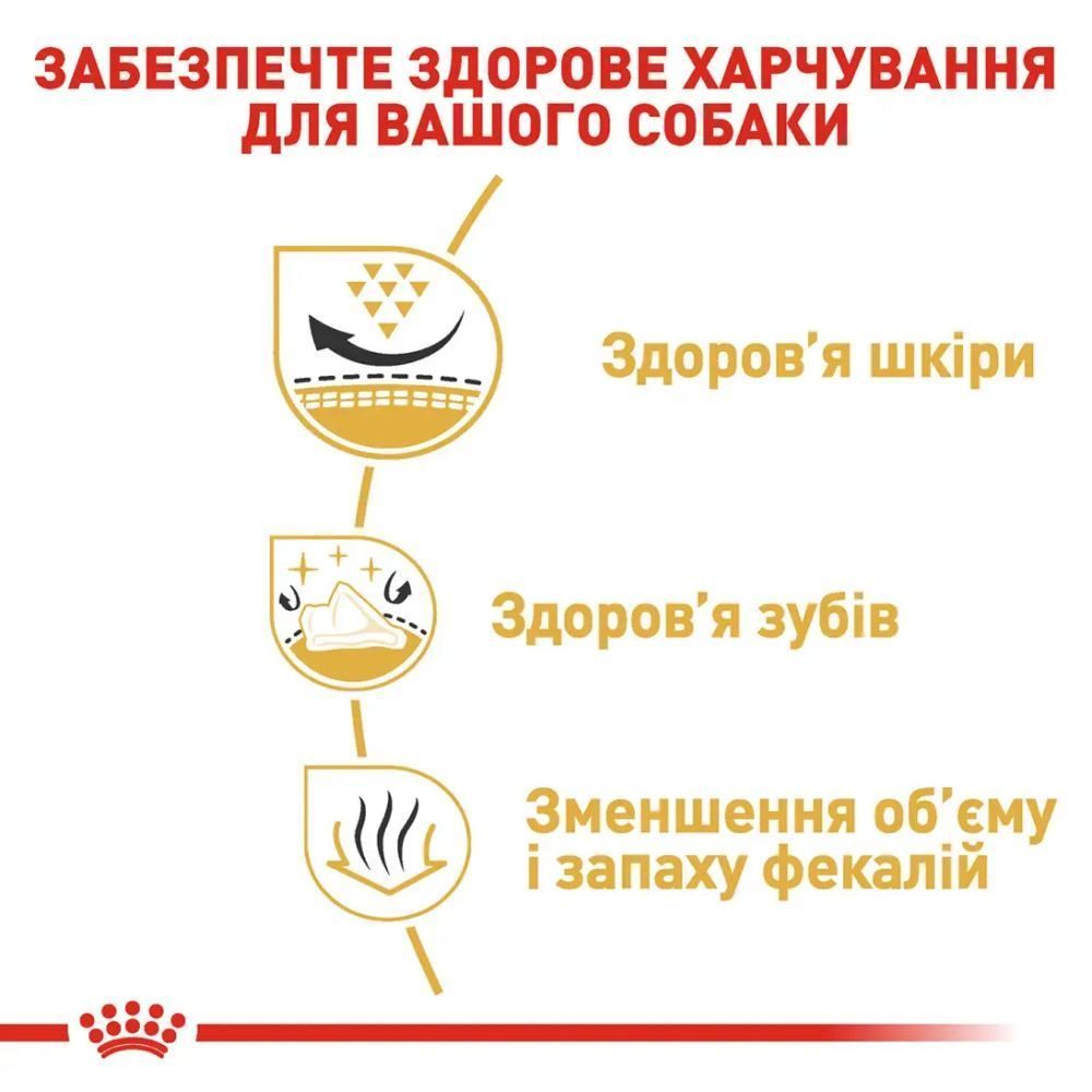 Сухой корм для собак Royal Canin Shih Tzu Adult 1,5 кг