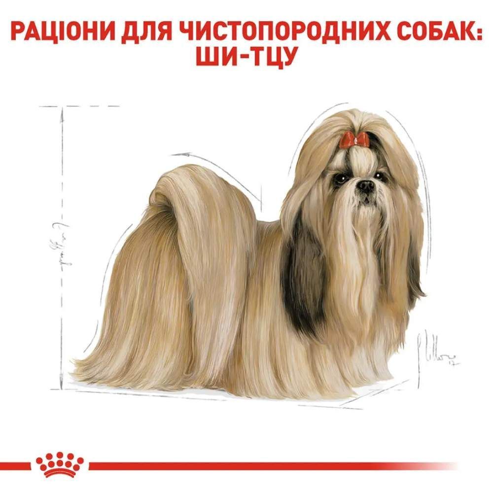 Сухой корм для собак Royal Canin Shih Tzu Adult 1,5 кг