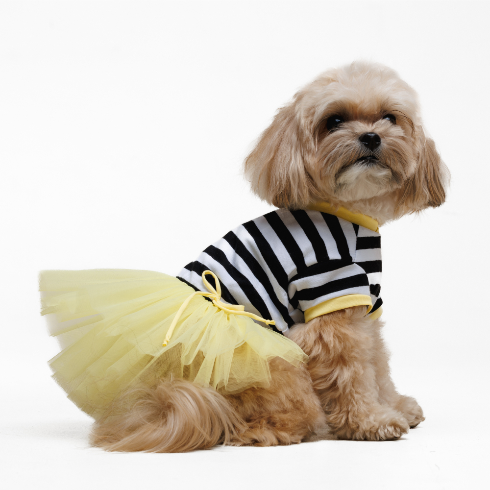 Сукня для собак Pet Fashion Liana XXS - жовтий Сукня для собак Pet Fashion Liana XXS - жовтий