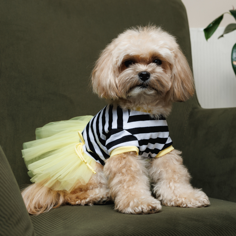 Сукня для собак Pet Fashion Liana XXS - жовтий Сукня для собак Pet Fashion Liana XXS - жовтий