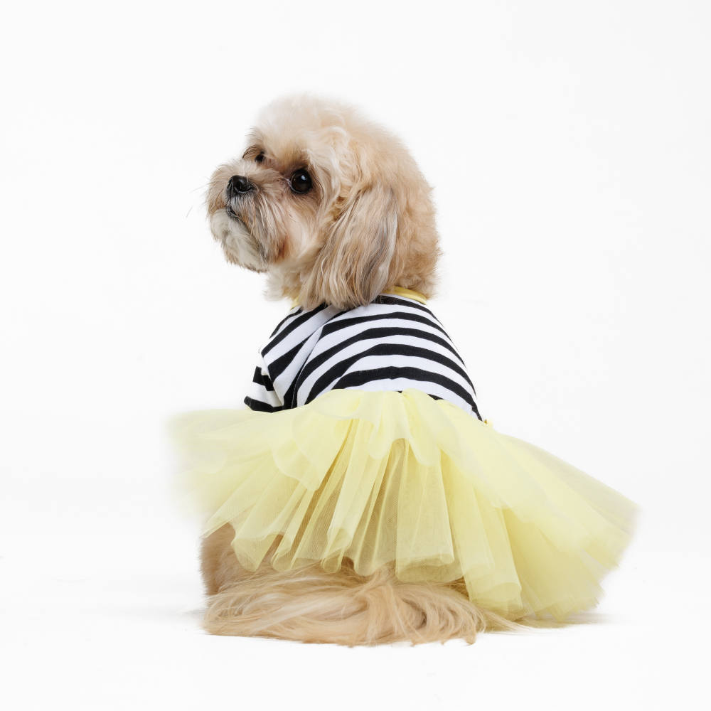 Сукня для собак Pet Fashion Liana XXS - жовтий Сукня для собак Pet Fashion Liana XXS - жовтий