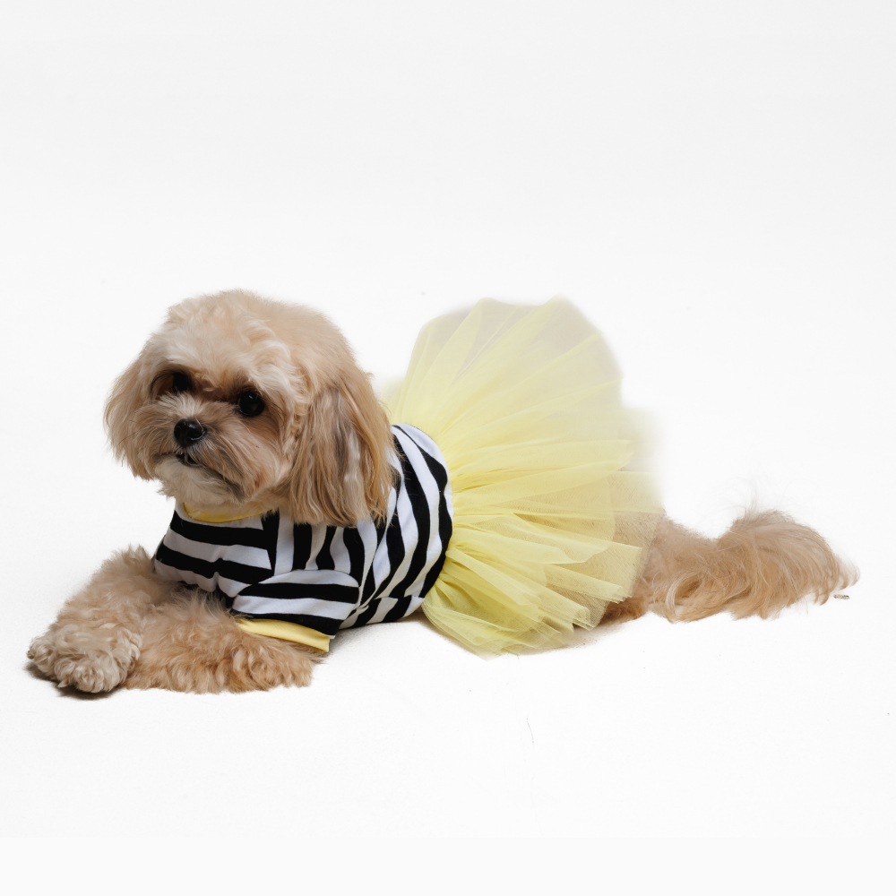 Сукня для собак Pet Fashion Liana XXS - жовтий Сукня для собак Pet Fashion Liana XXS - жовтий