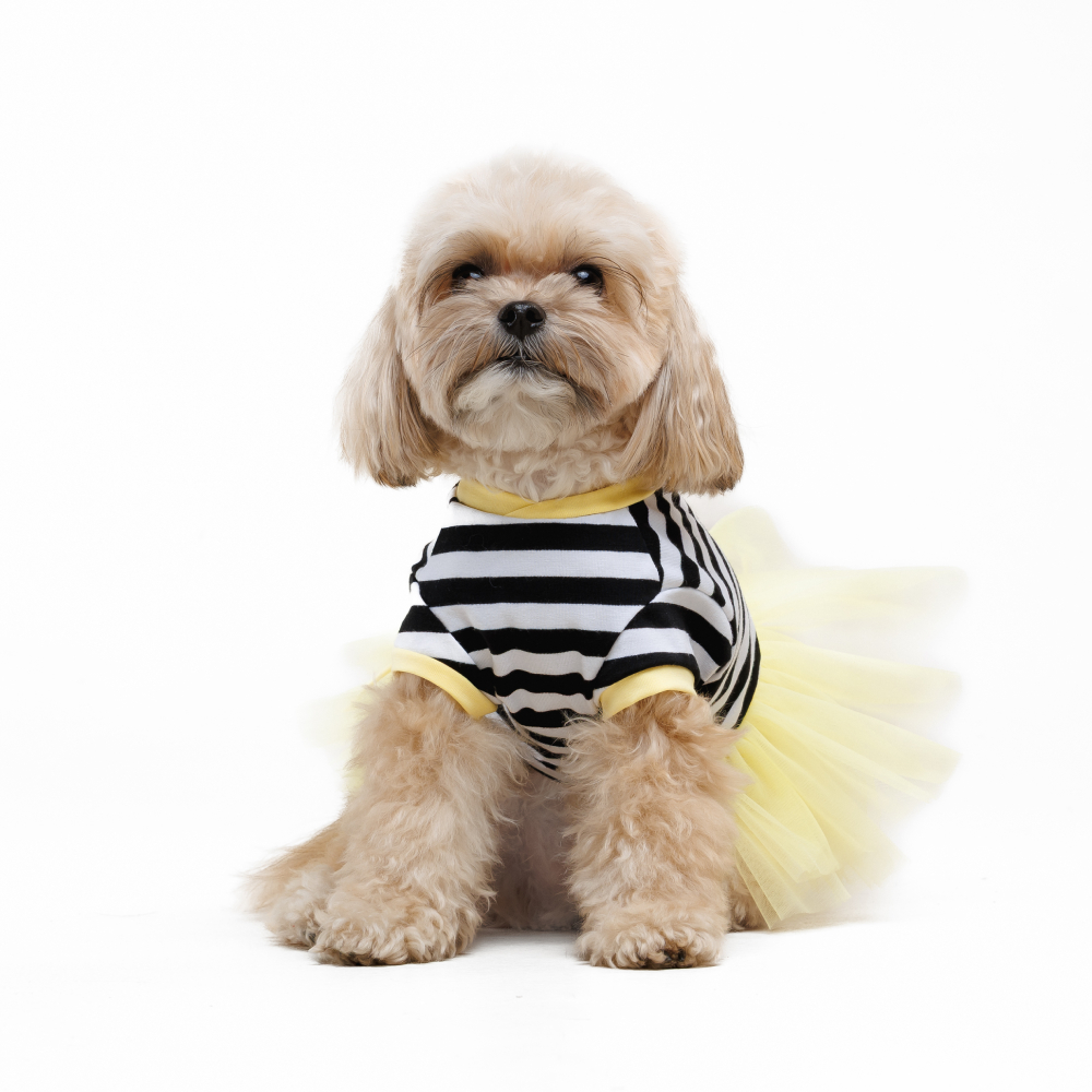 Сукня для собак Pet Fashion Liana XXS - жовтий Сукня для собак Pet Fashion Liana XXS - жовтий