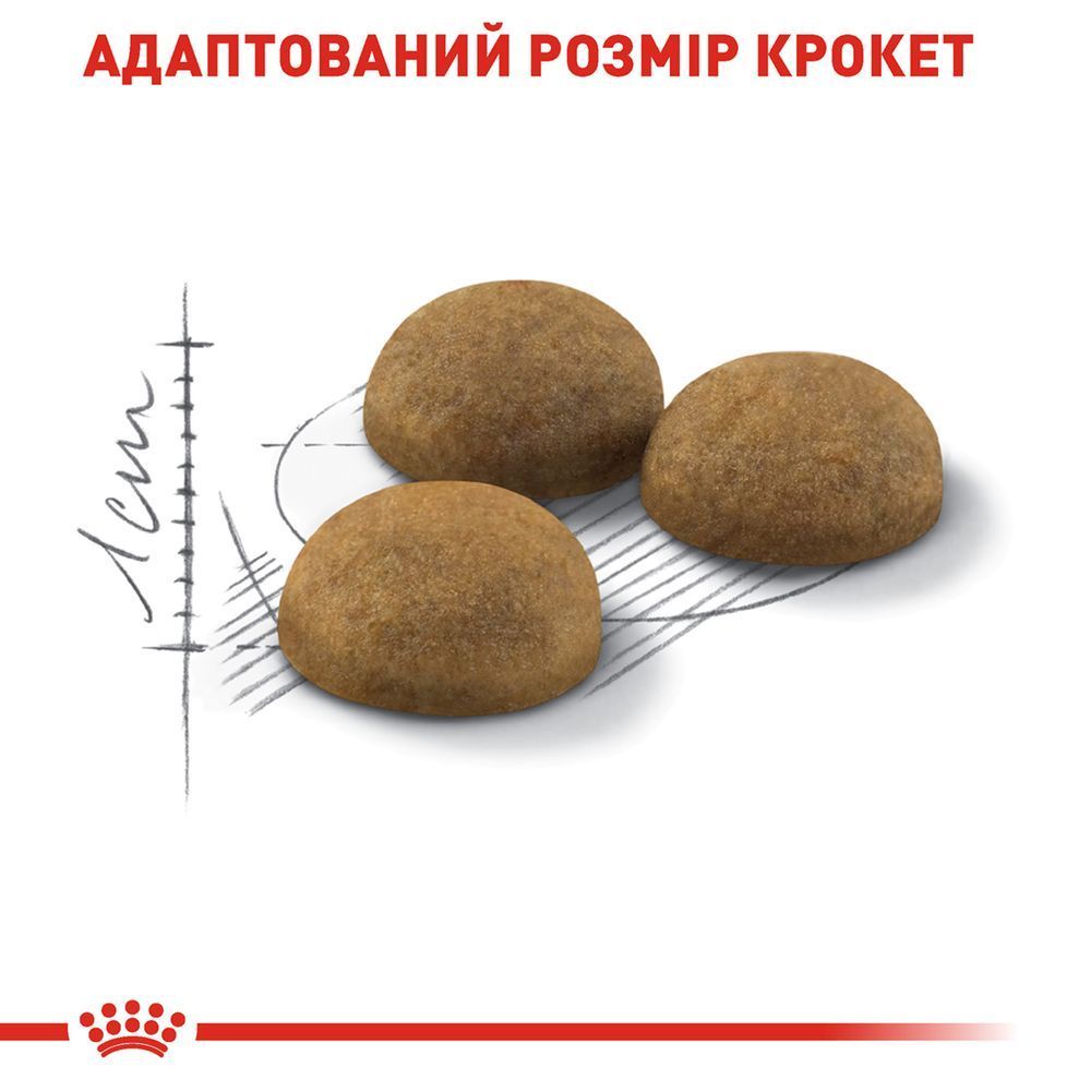 Сухий корм для котів Royal Canin Home Life Indoor Long Hair 2 кг