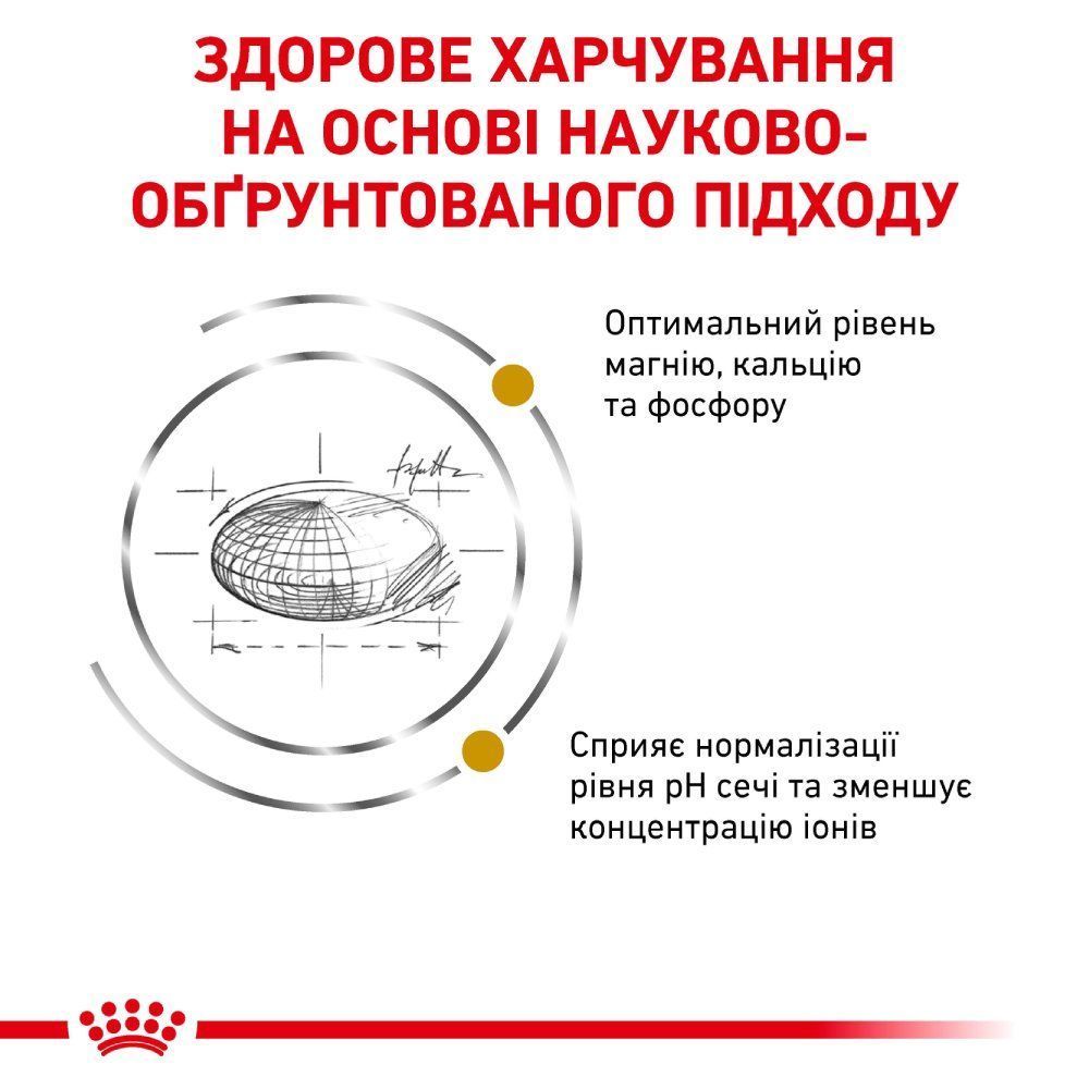 Сухий корм для котів Royal Canin Urinary S/O 400 г Сухий корм для котів Royal Canin Urinary S/O 400 г