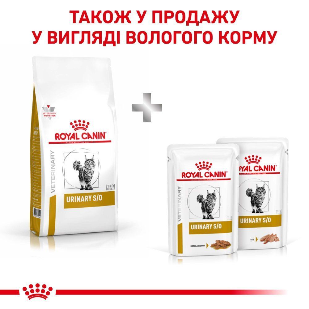 Сухий корм для котів Royal Canin Urinary S/O 400 г Сухий корм для котів Royal Canin Urinary S/O 400 г