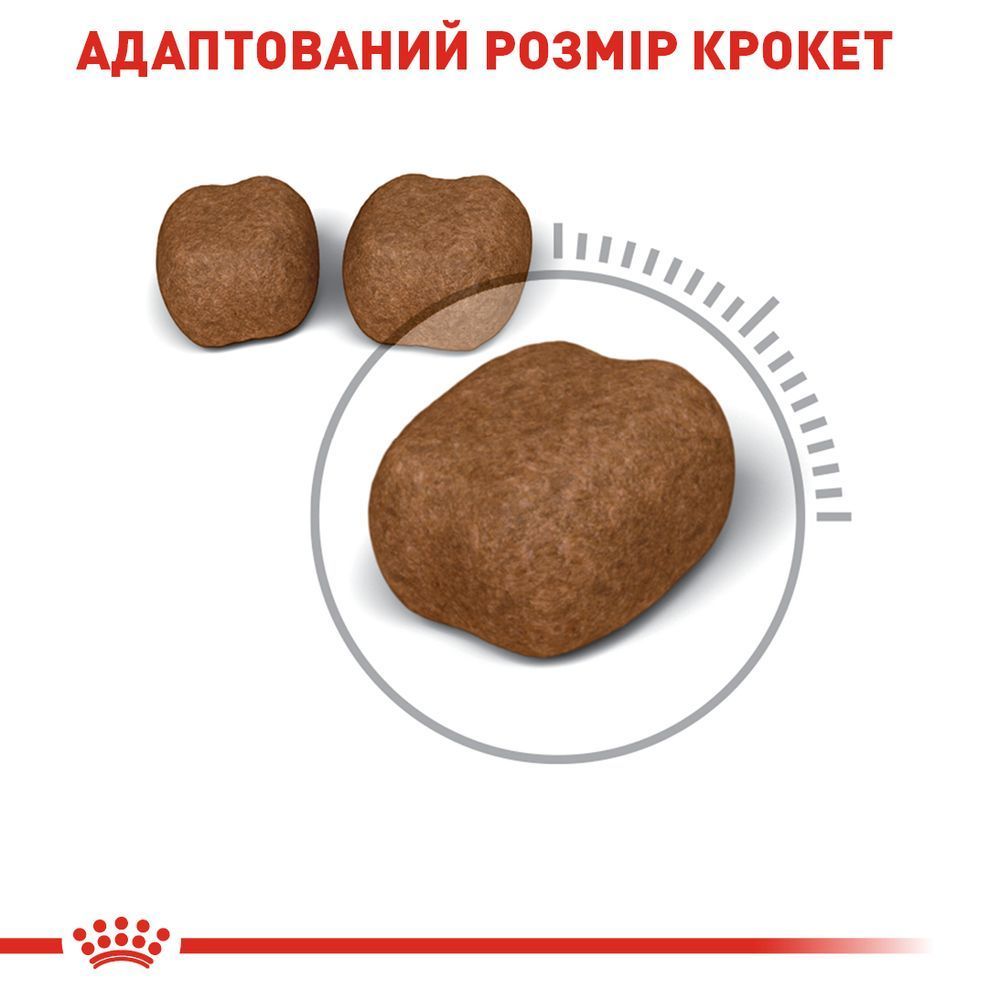 Сухий корм для котів Royal Canin Care Dental 1,5 кг