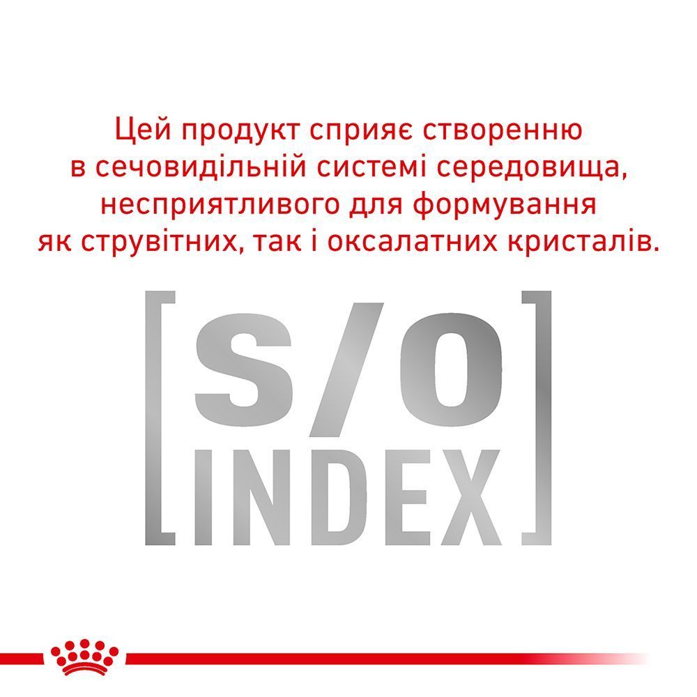 Сухий корм для котів Royal Canin Anallergenic 2 кг Сухий корм для котів Royal Canin Anallergenic 2 кг