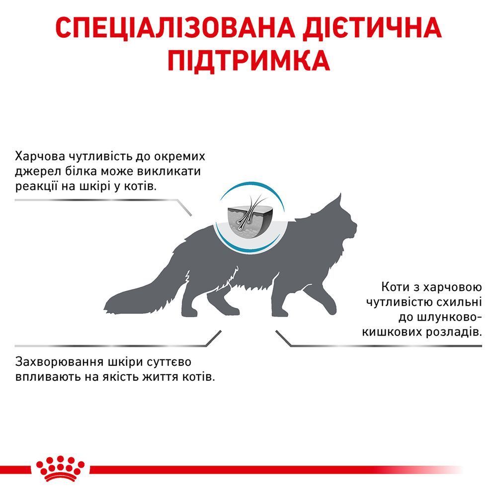 Сухий корм для котів Royal Canin Anallergenic 2 кг Сухий корм для котів Royal Canin Anallergenic 2 кг