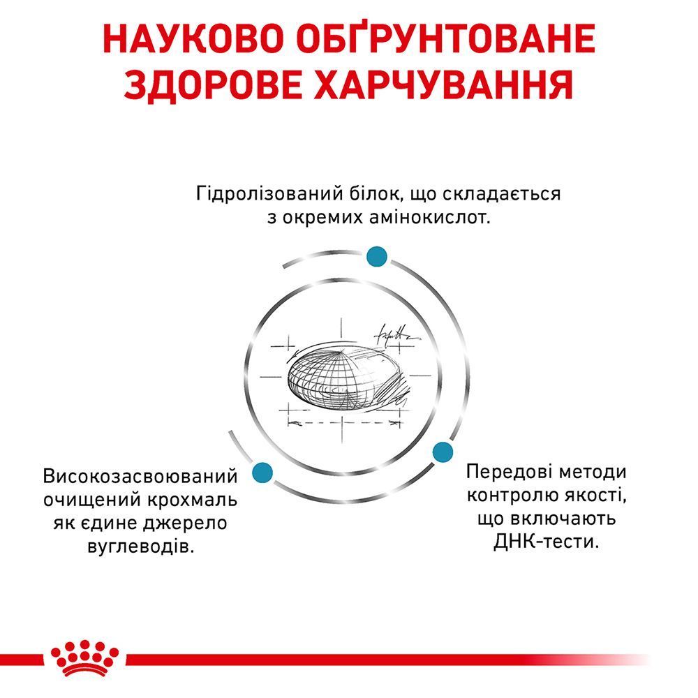 Сухий корм для котів Royal Canin Anallergenic 2 кг Сухий корм для котів Royal Canin Anallergenic 2 кг