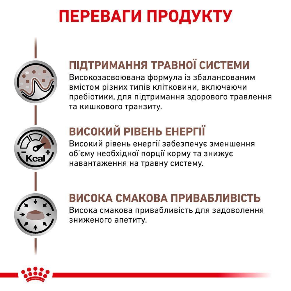Сухий корм для котів Royal Canin Gastrointestinal 400 г Сухий корм для котів Royal Canin Gastrointestinal 400 г