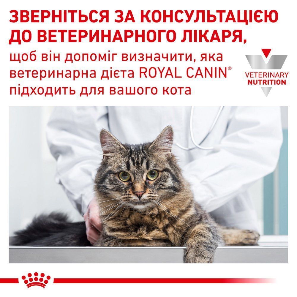 Сухий корм для котів Royal Canin Gastrointestinal 400 г Сухий корм для котів Royal Canin Gastrointestinal 400 г
