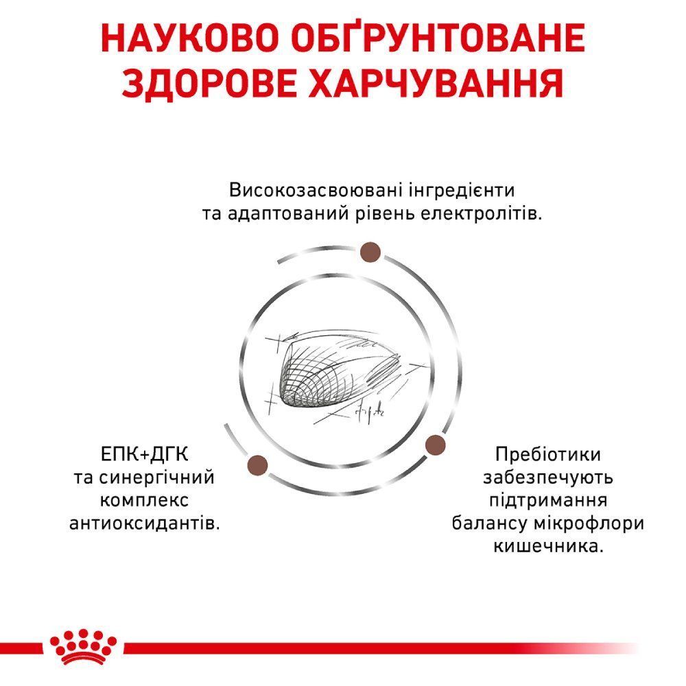 Сухий корм для котів Royal Canin Gastrointestinal 400 г Сухий корм для котів Royal Canin Gastrointestinal 400 г