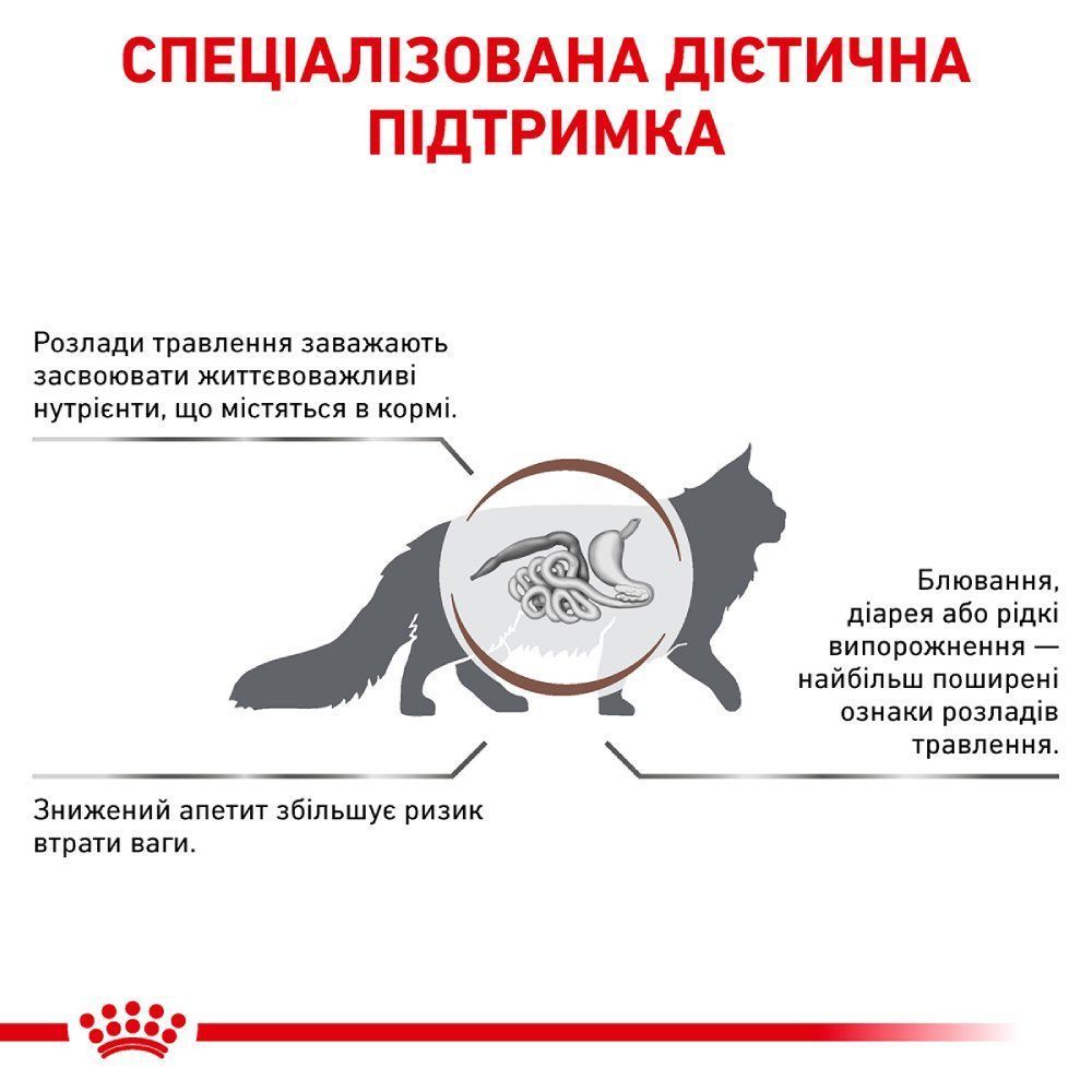 Сухий корм для котів Royal Canin Gastrointestinal 400 г Сухий корм для котів Royal Canin Gastrointestinal 400 г