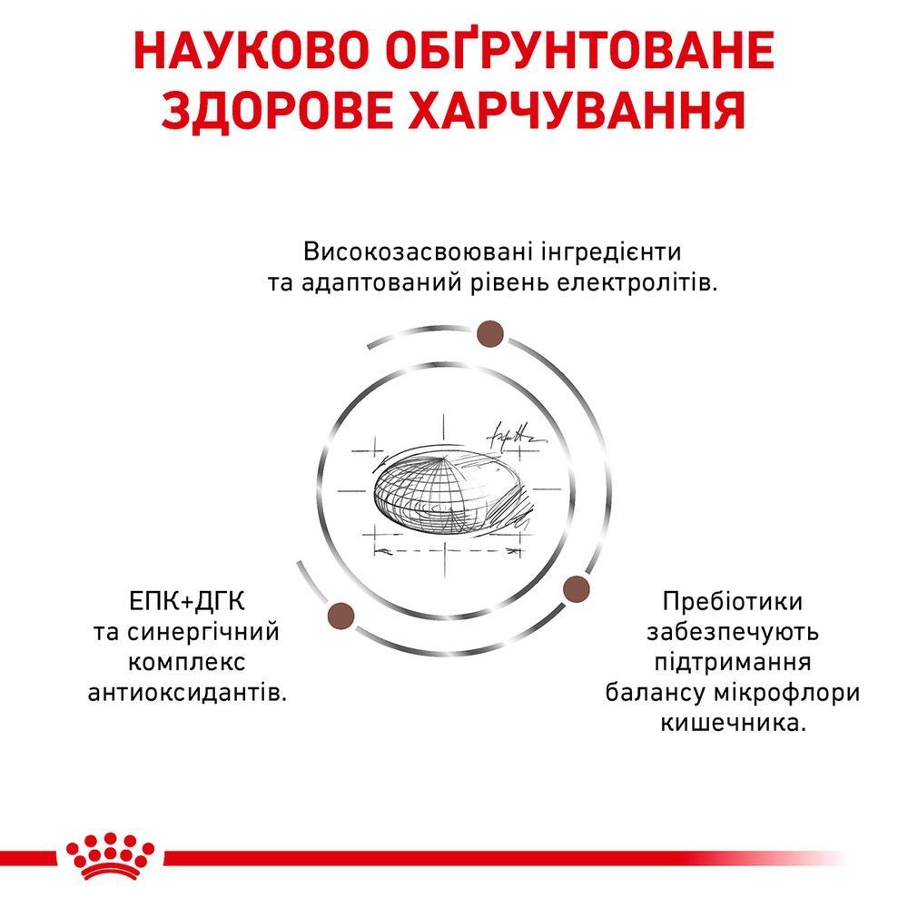 Сухий корм для котів Royal Canin Gastro Intestinal Moderate Calorie 2 кг Сухий корм для котів Royal Canin Gastro Intestinal Moderate Calorie 2 кг
