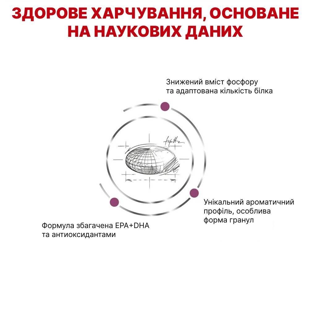 Сухий корм для котів Royal Canin Renal 400 г Сухий корм для котів Royal Canin Renal 400 г